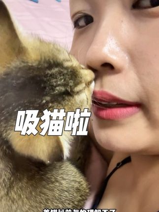 太上瘾了#小猫