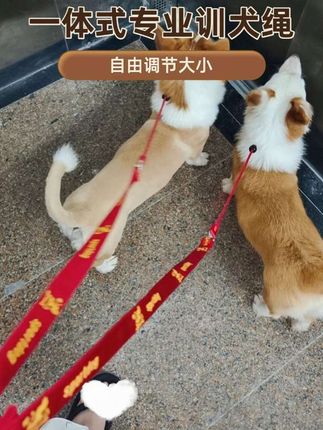 来看一下这款非常专业的狗狗牵引绳, 它可以直接上手操控,不需要调试学习成本非常小。遛时使用它能更加安心,因为它对于犬只的反应特别快速和有效。同时还有防缠绕、防爆等功能保障,而且收缩也非常顺畅。它比市面上其他的牵引绳要好得多,并且非常结实,又细又长,长久使用也不会变形。#遛狗牵绳#遛狗P绳#养狗人#带上牵引绳#狗狗牵引绳