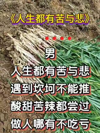 山歌伴奏