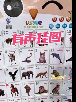 这个有声画图太适合学说话的宝宝了。点读发音 让宝宝跟读还可以中英文切换,测试功能和音乐 家里有宝宝的准备一个#益智早教 #育儿早教 #动物世界里的快乐童年 #有声挂图
