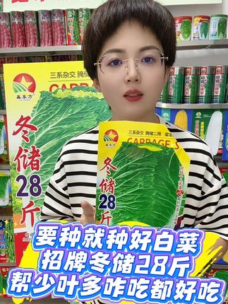 #三农 #种白菜 #冬储28斤大白菜种子 #好吃的大白菜 #怎么吃都好吃