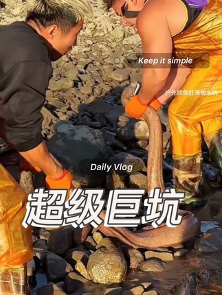 帝王坑! 今天华哥搞大了,花了一万块包下这个大海坑,看看他今天收获如何#我的乡村生活 #赶海 #野外户外 #我的赶海生活 #赶海抓螃蟹