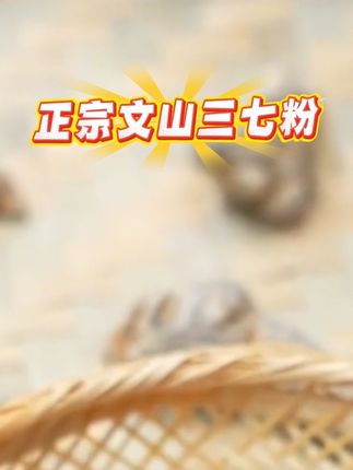 三七粉 正宗云南文山三七粉质细腻粉