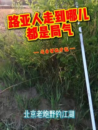 #原创视频 #钓大鱼 #户外垂钓 #钓鱼那些事 这事儿,没把子力气和经验还真干不了!钓鱼老的执着和坚持!无人能比!#原来钓鱼才是抖音运动顶流
