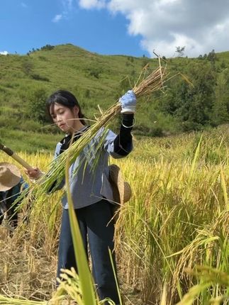 #丰收季 #我的乡村生活
