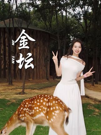 我好像误入了一个现实版的《爱丽丝梦游仙境》#茅山森林世界 #茅山森林动物王国