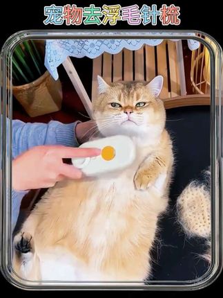 宠物喷雾梳太懂养猫人!防飞毛不逼猫洗澡。 #宠物喷雾梳 #养猫神器 #猫咪防飞毛 #宠物梳毛好物 #养猫必备工具