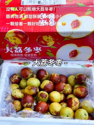 没有人可以拒绝大荔冬枣!圆润饱满 鲜甜酥脆 肉厚核小!一颗接着一颗好吃的停不下来😋#冬枣 #优质农产品 #新鲜采摘 #口感特别好 #超好吃
