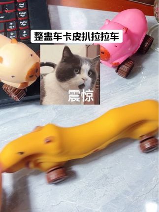 超火卡皮巴拉拉拉乐小车拉长可变形滑行车沙子款解压捏捏乐带轮子#整蛊#整蛊玩具 #解压 #大学生 #大学生哪有不疯的