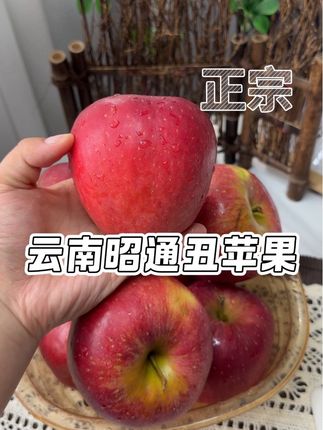 别说话,快抢,我儿子从不爱吃苹果,吃这个能吃一大个!#昭通苹果 #丑苹果 #嘎嘣脆 #云南昭通丑苹果