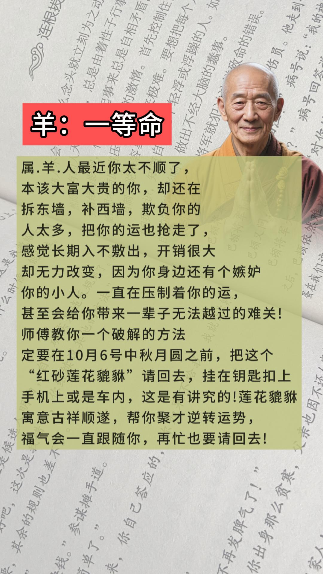 #67年的羊 #79年的羊 #91年的羊
