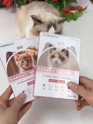 在家自己给毛孩子驱虫,就是用这款泰淘气,三十年老品牌,经济实惠又好用#萌宠好物 #泰淘气驱虫#新手养猫 @DOU+小助手