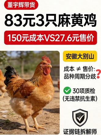 董宇辉带货83元3只麻黄鸡,为啥协会说成本≥150元/只?🤔 30项质检报告实锤+成本真相拆解,不站队只摆证据!
✅ 质检:违禁抗生素/兽药未检出,合规残留达标
✅ 成本:协会说的是500天+老母鸡,商家卖的是3-4个月商品代,品种标准分歧≠虚假宣传
✅ 官方:安徽省商务厅回应不涉虚假宣传,争议是信息不对称
买生鲜鸡先看质检报告,别被“品种话术”坑~#证据链拆解师 #理性消费#董宇辉带货 #麻黄鸡 #黄油母鸡