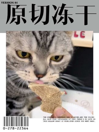 比手掌还大的冻干#冻干 #宠物冻干 #原切冻干 #宠物零食 #猫咪零食