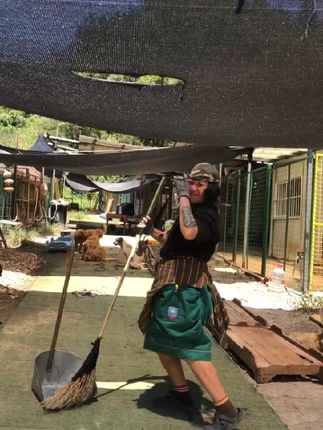 基地终于亮灯了 毛毛们终于吹上了电风扇 庆祝一下哦 大山里的南菜园和她的400多流浪毛孩子 基地持续高温 没有电14天 基地终于完工了线路重新换新 水管部分换新 这是一个大工程 也是一个让我无法承受的经济费用 但是毛毛们幸福了 没事 不管了 加油吧南菜 #流浪狗 #流浪猫 #流浪狗救助 @南菜园菜姐