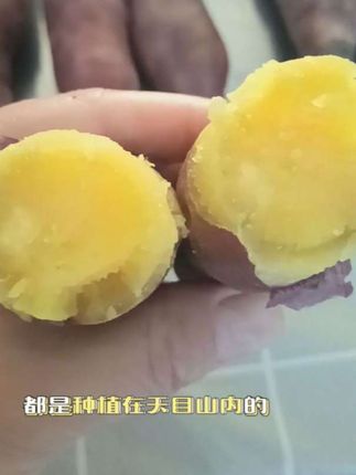 #小香薯 #天目山 #软软甜甜 #原厂地