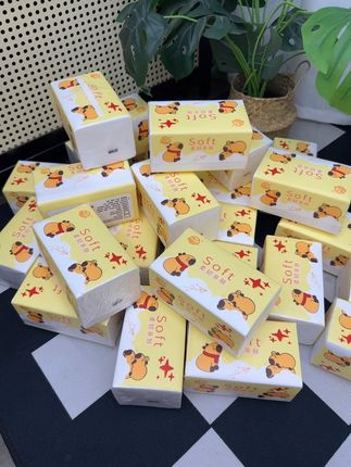 我也不想买啊 可是它是卡皮巴拉的太可爱了 主要这个价太合适了#抽纸 #卡皮巴拉