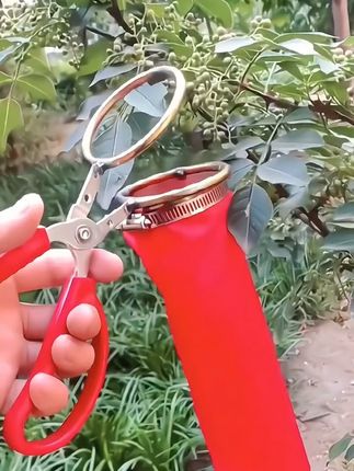 你看,聪明人摘花椒呀,就是这么轻松。现在摘花椒就用这款花椒圆剪刀,剪下来的花椒直接落入袋中#生活好帮手#摘花椒神器#园林工具 #果园管理