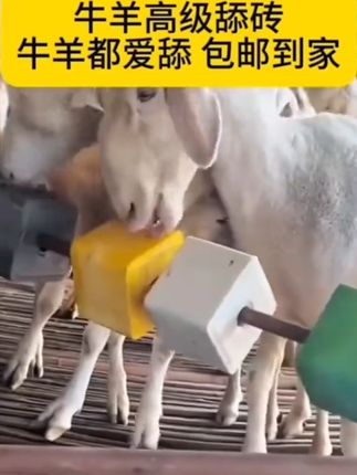 牛羊舔砖 盐砖 区虫 高钙 催肥 兽用#牛羊养殖#牛羊舔砖