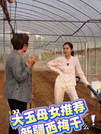 #优质农产品 #零食推荐 #追剧小零食好吃到爆 #新疆西梅干
