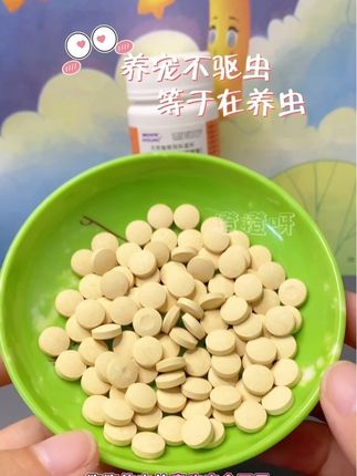 #萌宠出道计划 #狗狗 #养狗经验分享 #新手养狗 #不养狗不知道养狗的乐趣