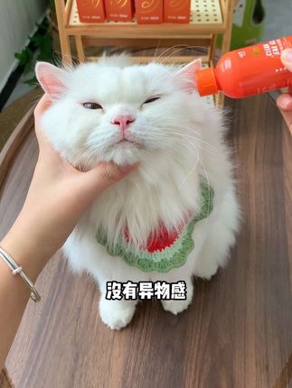 相比普通的滴耳液,还是建议用这种洁耳凝胶,可以直接清理猫咪耳道的系列问题#萌宠好物 #养猫新手 #宠物用品 #滴耳液 #洁耳凝胶