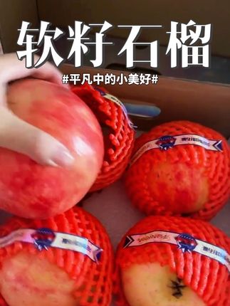 软籽石榴#新鲜采摘 #应季水果 #优质水果 #快来一起尝个鲜