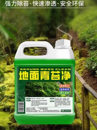 青苔清除剂水泥地面专用克星墙面房屋苔藓藻类去除绿青苔清洁神器 #青苔去除剂 #青苔 #青苔处理 #青苔防治#青苔消