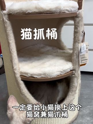 猫抓桶、猫窝、猫爬架三合一!一个可以用几年~能当床头柜,放哪都合适!#Hoopet #猫爬架#猫抓桶#猫窝#养猫人