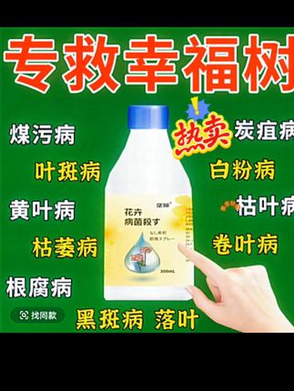 幸福树病虫害专用营养液防黑斑病白粉病炭疽病叶斑病黄叶干尖肥料#助农#花友们