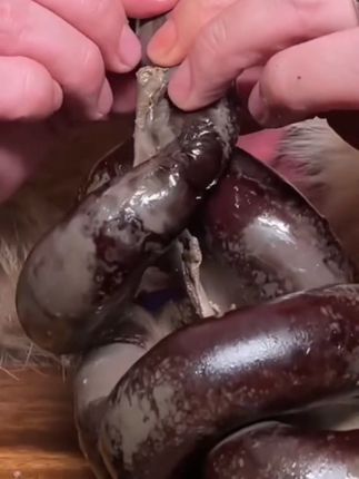 #太好吃了 羊血肠太香了,草原羊血的美味细嫩,越嚼越香了#舌尖上的味道 #羊血肠 #人间美味 #美食推荐