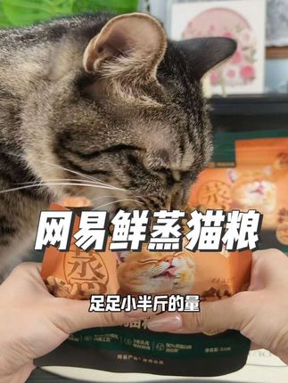 蒸出来的猫粮你家小猫有吃过吗?网易鲜蒸猫粮试吃装来袭,快给你你家猫咪试试#网易鲜蒸猫粮 #网易猫粮 #萌宠好物 #猫粮 #养猫人
