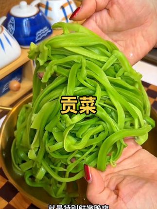 嘎嘣脆的贡菜,凉拌炒肉或者烫火锅,都超级好吃!#贡菜干 #贡菜 #秋天的第一顿火锅 #火锅食材 #口感特别好