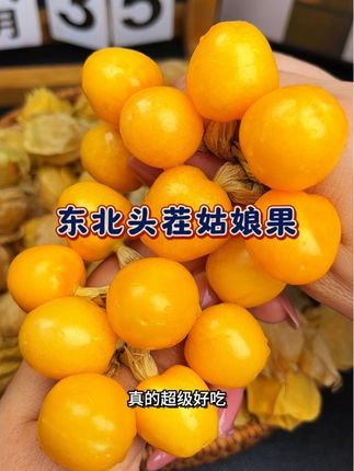 现摘现发,不打药不催熟,一口一个嘎嘣脆!!#口感特别好 #应季水果 #零食#好吃到停不下来 #快来一起尝个鲜