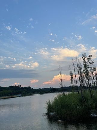 #晒晒我的秋日穿搭 #梨形身材秋天怎么穿 #秋季日常实用穿搭思路分享 #秋冬穿搭新鲜感在线 #我决定了这个秋冬要好好穿搭