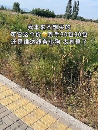 天呐~维达线条小狗手帕纸这价就发整整30包,太划算了,快快冲!#维达手帕纸#线条小狗#维达#手帕纸#出门必备