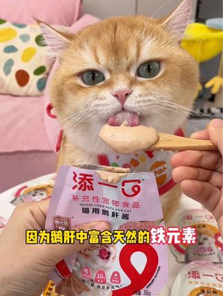 猫咪也吃上鹅肝了,舔舔怪猫咪吃的根本停不下来#萌宠好物 #吃货猫 #添一口宠物辅食