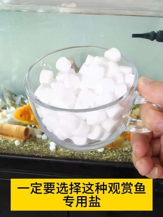鱼缸水质不好?经常死鱼,可以适量加点水族盐#水族盐#净水#养鱼日记#观赏鱼