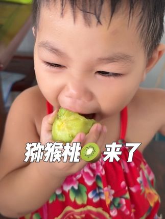 这猕猴桃太好吃了,我是去年就开始吃着来的猕猴桃,去年很多很多姐妹买过来吃的都知道好吃果子品质又好,买回去不需要催熟放软了吃超级甜又多汁,家里有宝宝爱吃猕猴桃的都可以闭眼去入手#新鲜采摘 #应季水果 #猕猴桃 #超甜又多汁 #快来一起尝个鲜