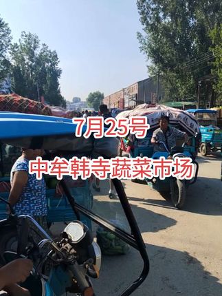 各种蔬菜产地直供,价位不高需要的联系全国代发。#三农 #优质农产品 #抖音助农