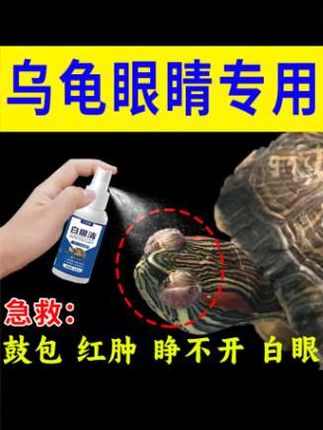 ☞ 转发 |#张予曦毕雯珺真拍了红裙抱 #深情眼 #张予曦 #毕雯珺#乌龟 #毕雯珺