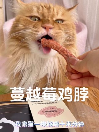 我给我家逆子准备的磨牙洁齿零食,顺便消耗精力!省的咬我……#吃货猫 #养宠进阶指南 #萌宠好物 #磨牙零食 #洁齿骨