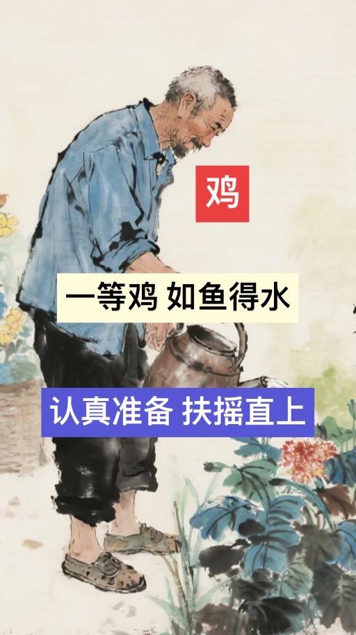 #1969年的鸡 #1981年的鸡 #1993年的鸡
