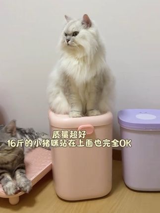 那么好用又颜值超高的蛮果双仓储两桶谁不喜欢呀~小猫都围着转呢#mango #蛮果储粮桶 #储粮桶