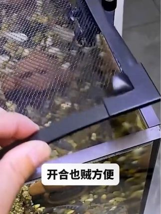 #磁吸鱼缸盖网 #鱼缸防跳网 #鱼缸盖 还在为爱鱼"跳缸”而烦恼?全新升级的磁吸防跳网为您解决后顾之忧!采用创新磁吸设计,安装简单便捷,稳固不脱落;超细网眼既确保安全防护,又几乎不影响观赏体验。精选优质材质,经久耐用,让您养鱼更安心! #鱼缸磁吸防跳网