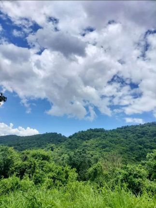 #当我在假期登上了泰山