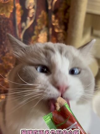 赶紧来薅麦富迪的大羊毛,5包25根的亲嘴鱼猫条你看看才什么价,刷到宝子们直接闭眼冲!#养猫新手 #萌宠好物 #麦富迪亲嘴鱼猫条 #麦富迪#猫条