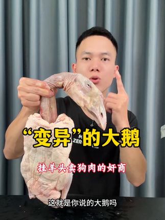又是一个挂羊头卖狗肉的奸商!#测评 #大鹅