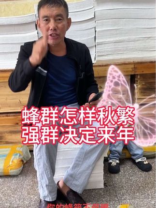 #养蜂人 #蜂布 #蜂王 #蜜蜂 #助力三农