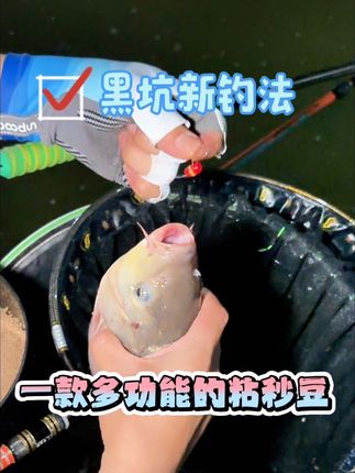 秒粘豆方法用对,鱼获才能翻倍,#爆护饵料 #钓鱼技巧 #钓鱼饵料 #秒粘豆 #黑坑偷驴
